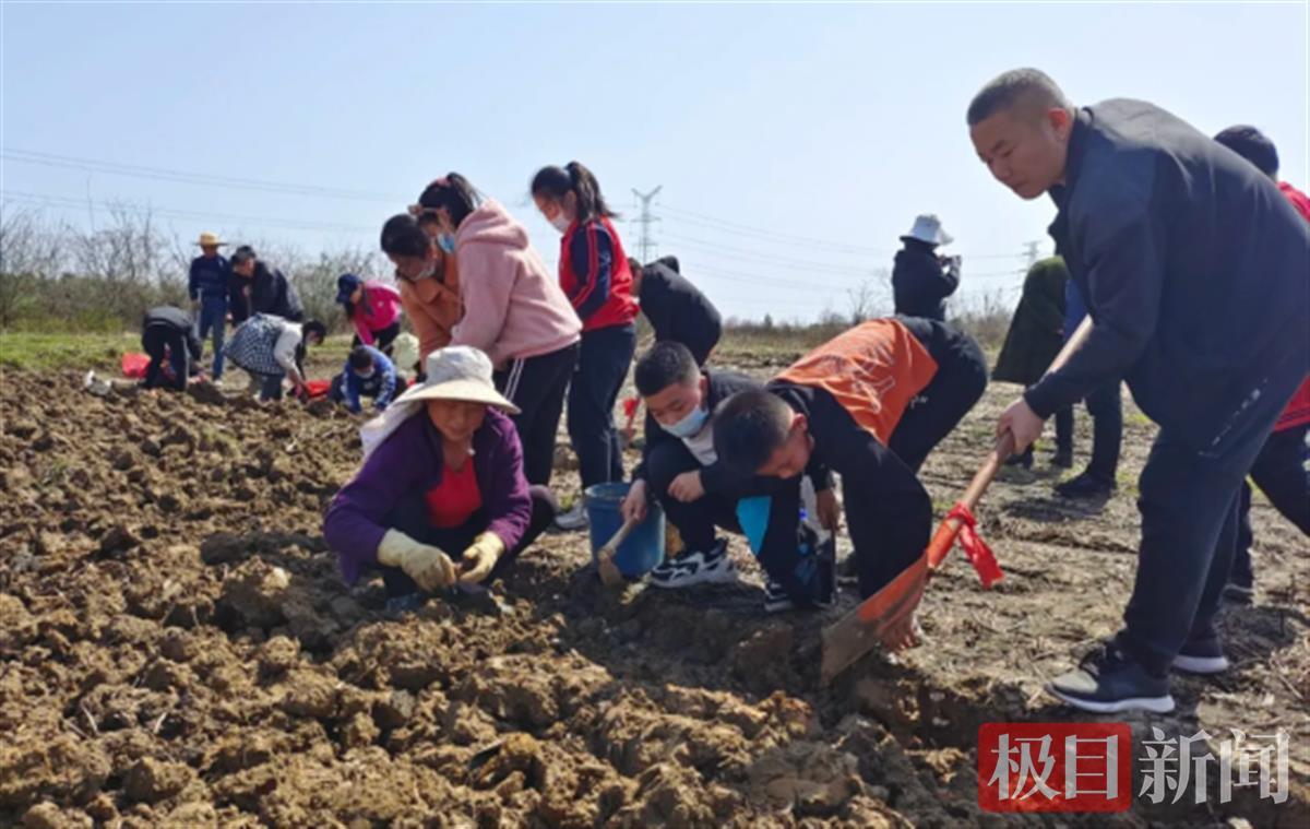 武漢市黃陂區(qū)六指街甘棠小學(xué)的勞動(dòng)課這樣上(圖1)