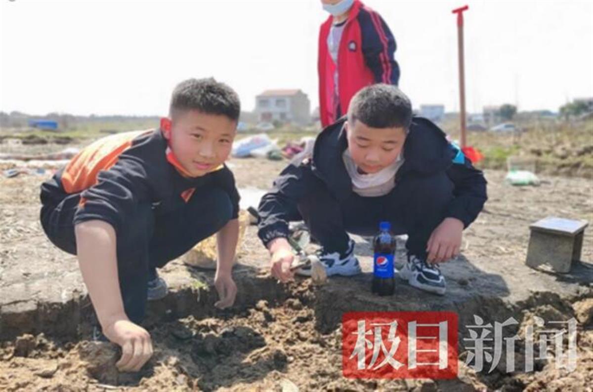 武漢市黃陂區(qū)六指街甘棠小學(xué)的勞動(dòng)課這樣上(圖2)