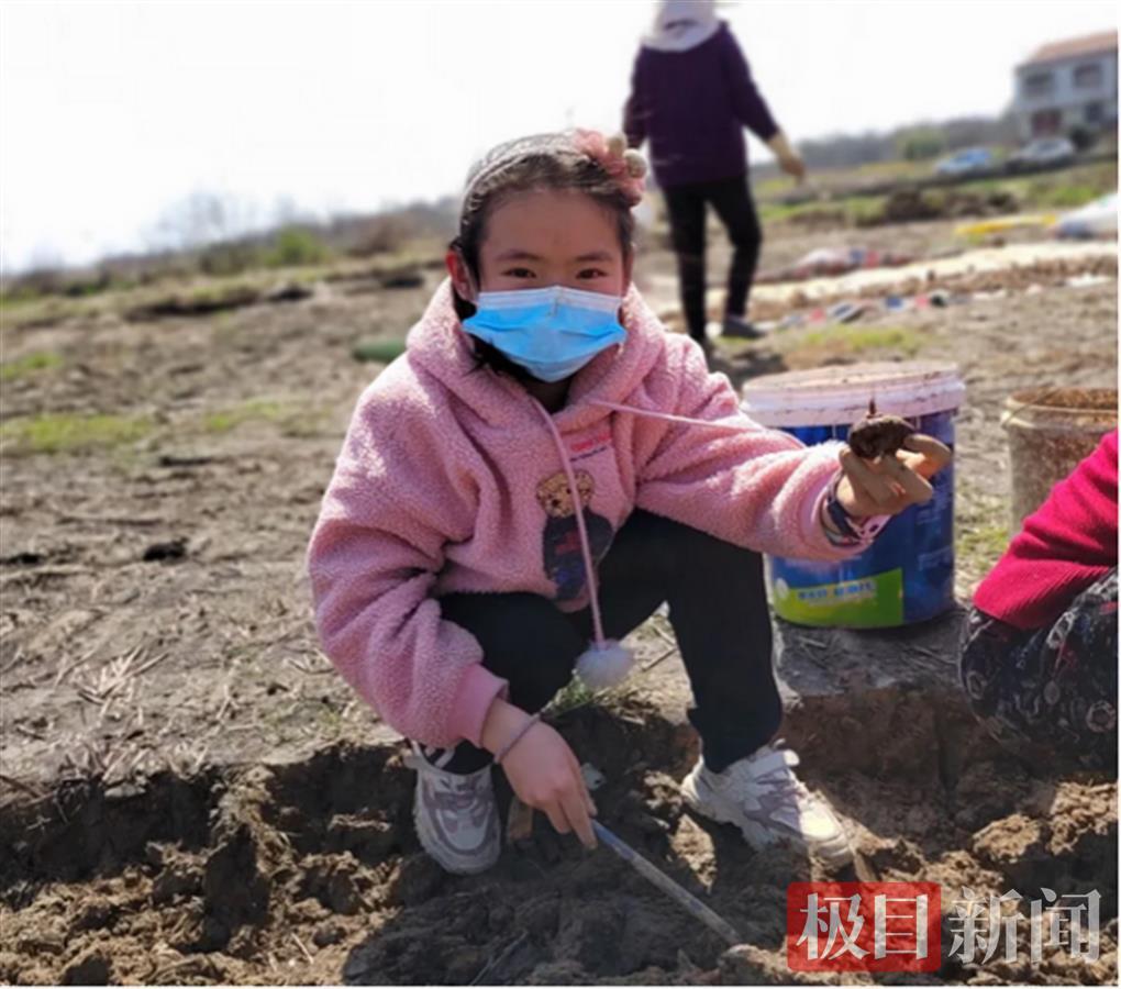 武漢市黃陂區(qū)六指街甘棠小學(xué)的勞動(dòng)課這樣上(圖3)