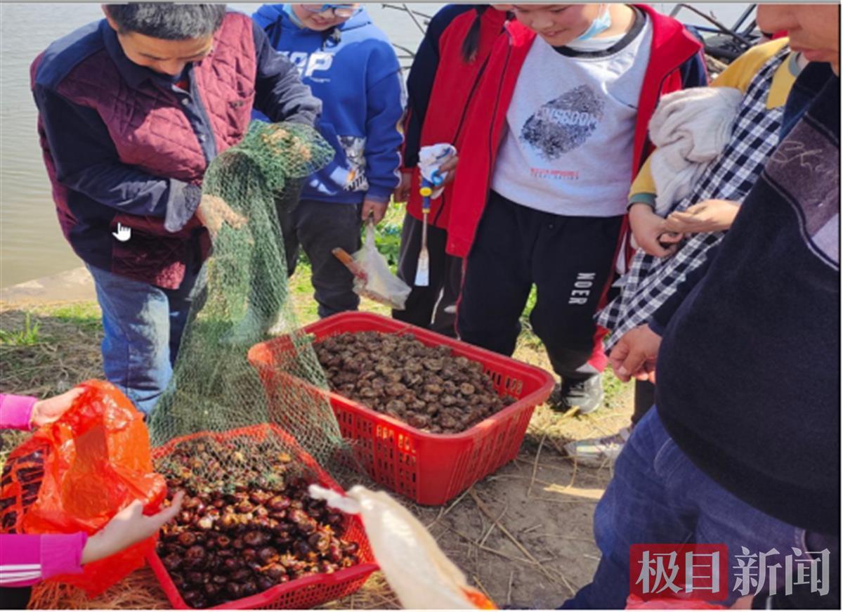 武漢市黃陂區(qū)六指街甘棠小學(xué)的勞動(dòng)課這樣上(圖4)