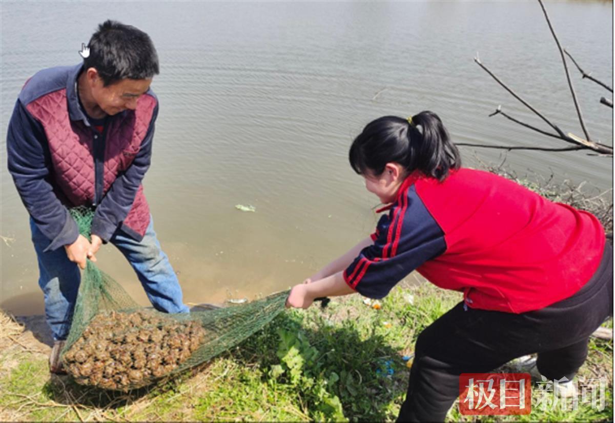 武漢市黃陂區(qū)六指街甘棠小學(xué)的勞動(dòng)課這樣上(圖5)