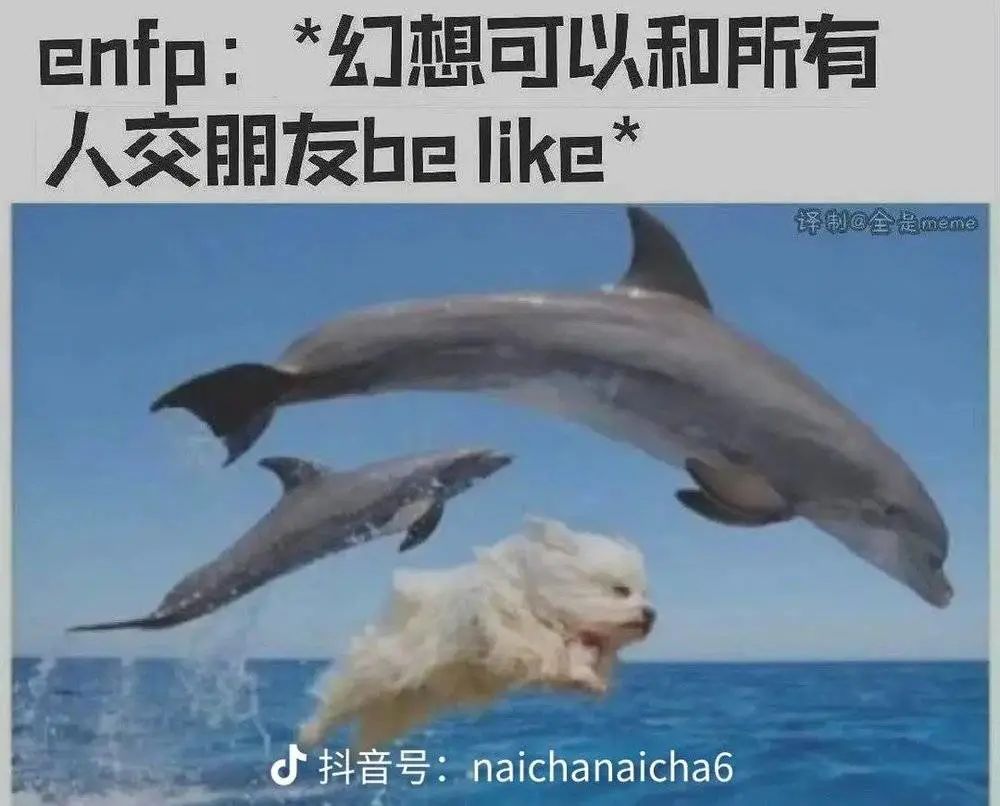 大家好，我的MBTI人格是：IMSB