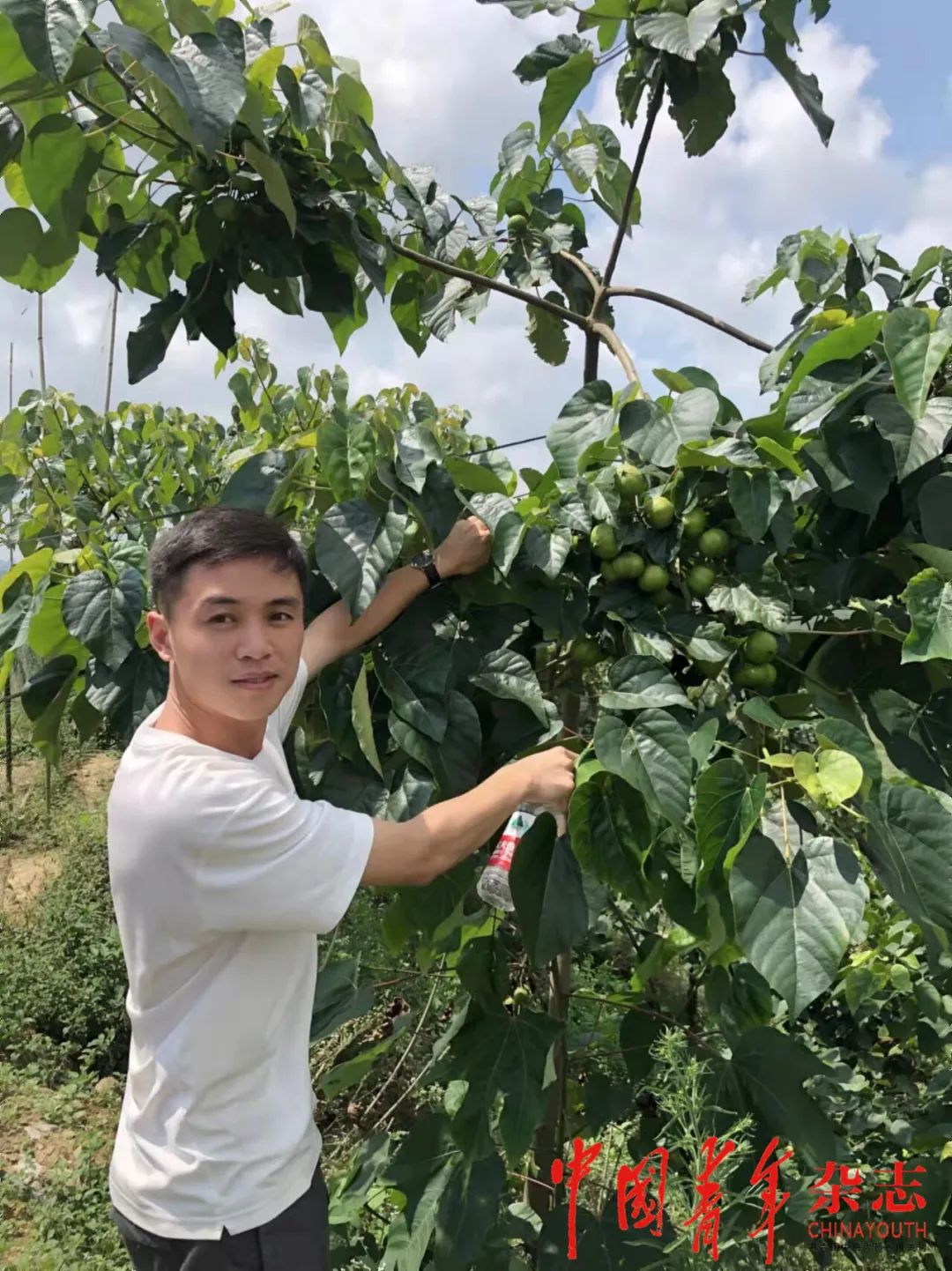 杨安仁：奔跑在共“桐”富裕的道路上