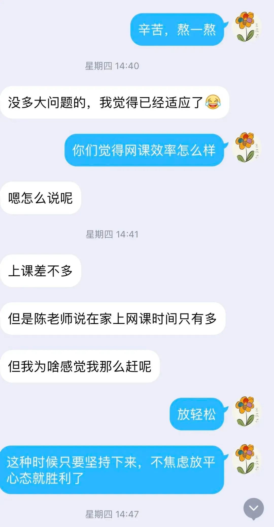 镜头：居家上学一个月，有那么多新的体会值得回味