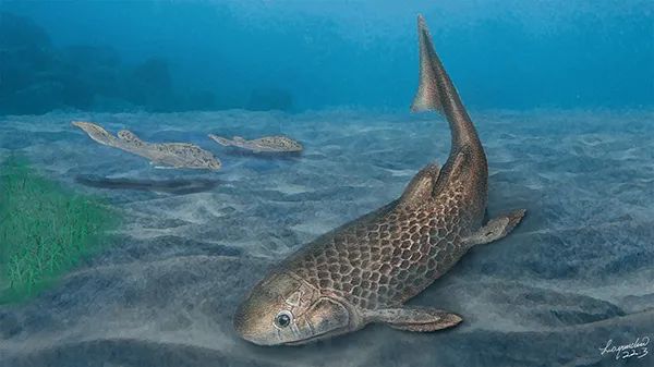 发现泥盆纪肺鱼化石新属种揭秘肺鱼取食新模式