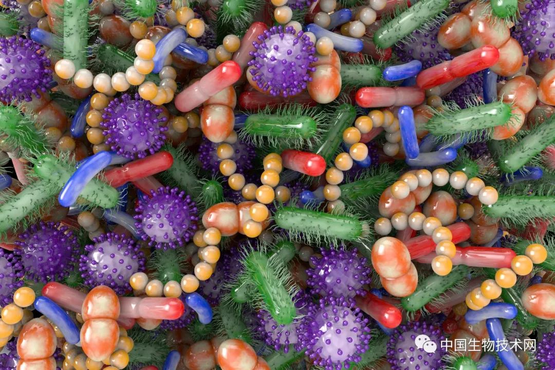 变废为宝！Cell：用肠道细菌"挖掘"被植物纤维"困住"的营养物质