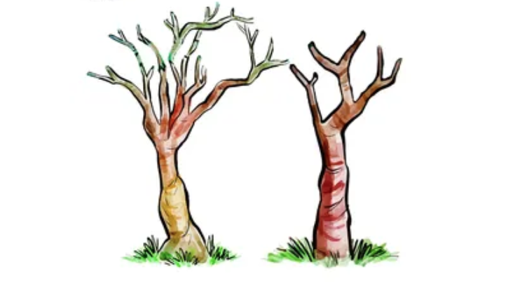 最实用的中台入门介绍（四）领域划分与需求结构化