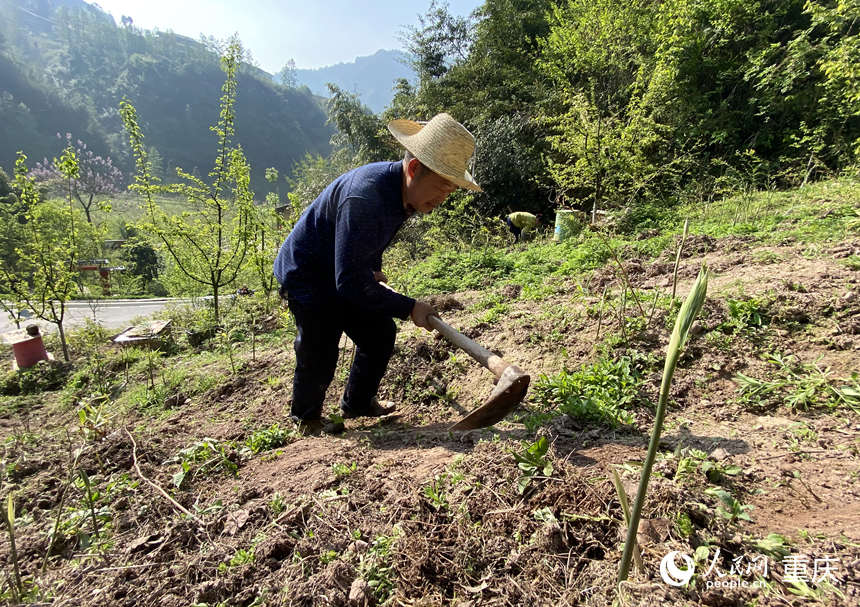 幸福生活"跑"出来——重庆石柱县华溪村的这三年