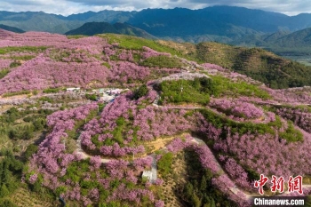 �����������ĸ��ٳ���