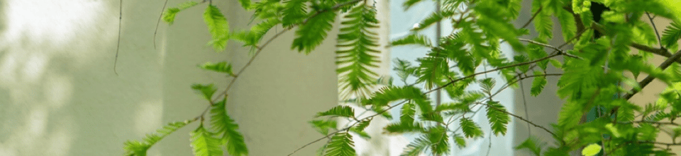 学院召开2022年党委理论学习中心组（扩大）第一次专题学习会