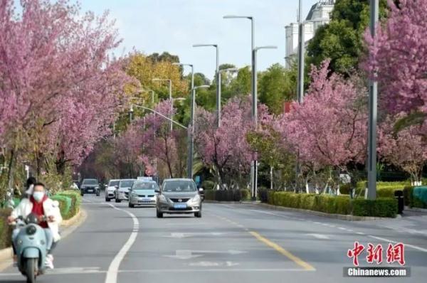 首付低至三成！多地公积金贷款买二套房政策有变