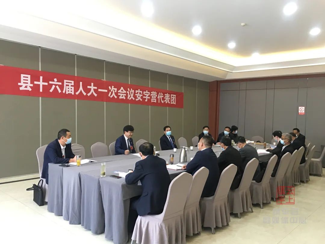 镇平县人大代表分组讨论 热议报告谋发展