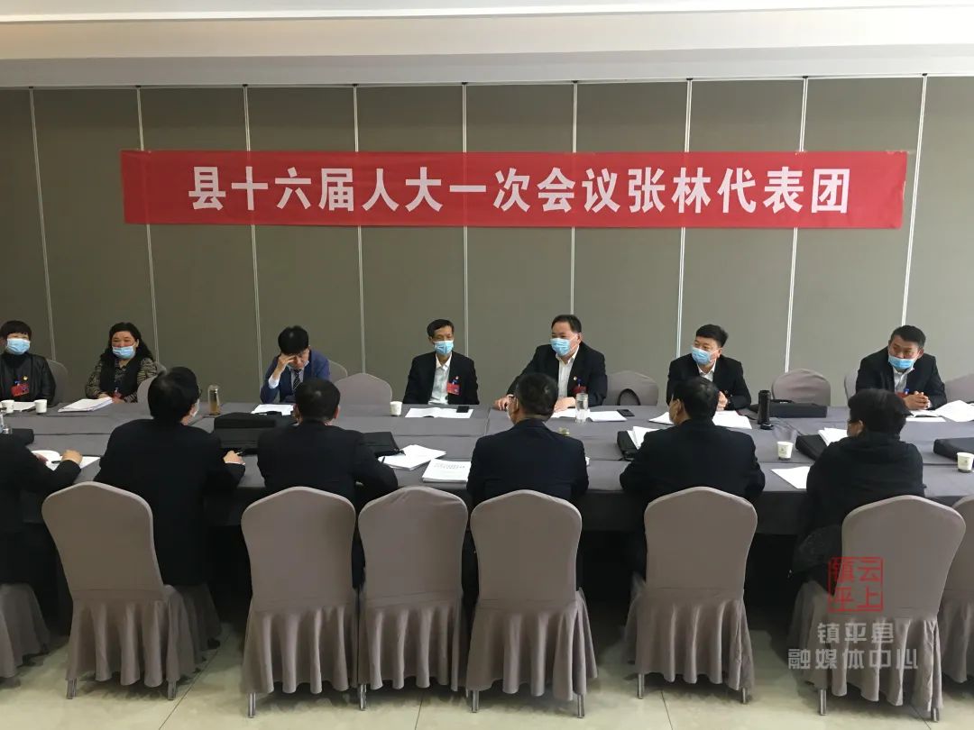 镇平县人大代表分组讨论 热议报告谋发展