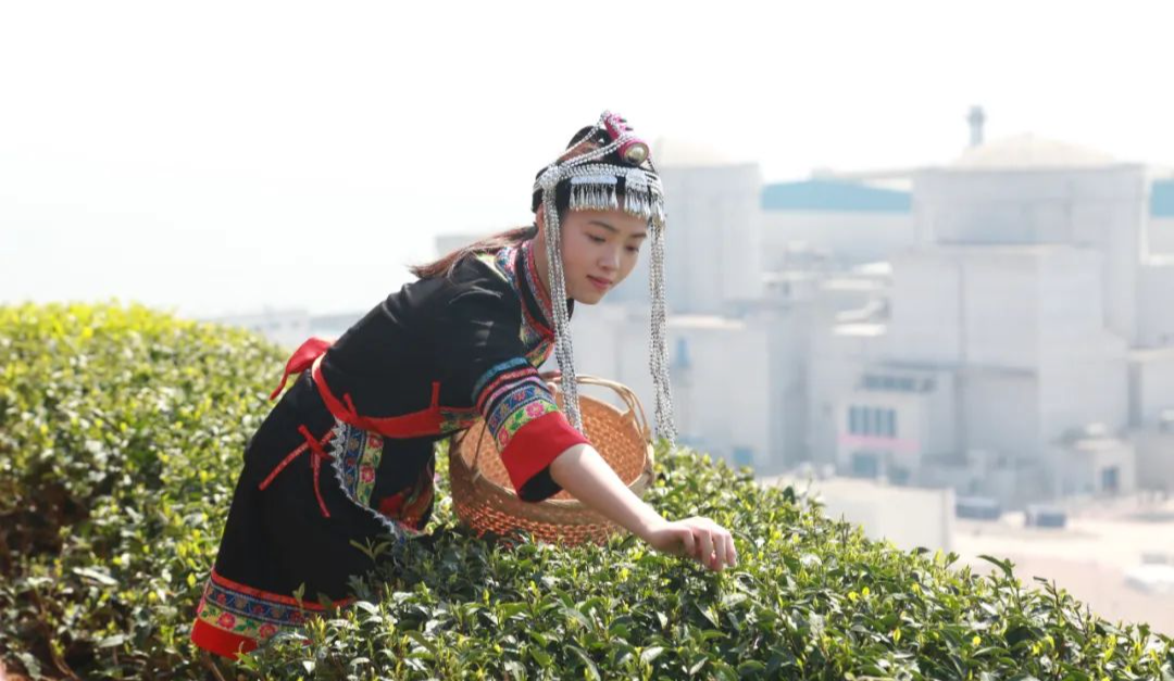 一年之计在于春，辛勤耕耘正当时！