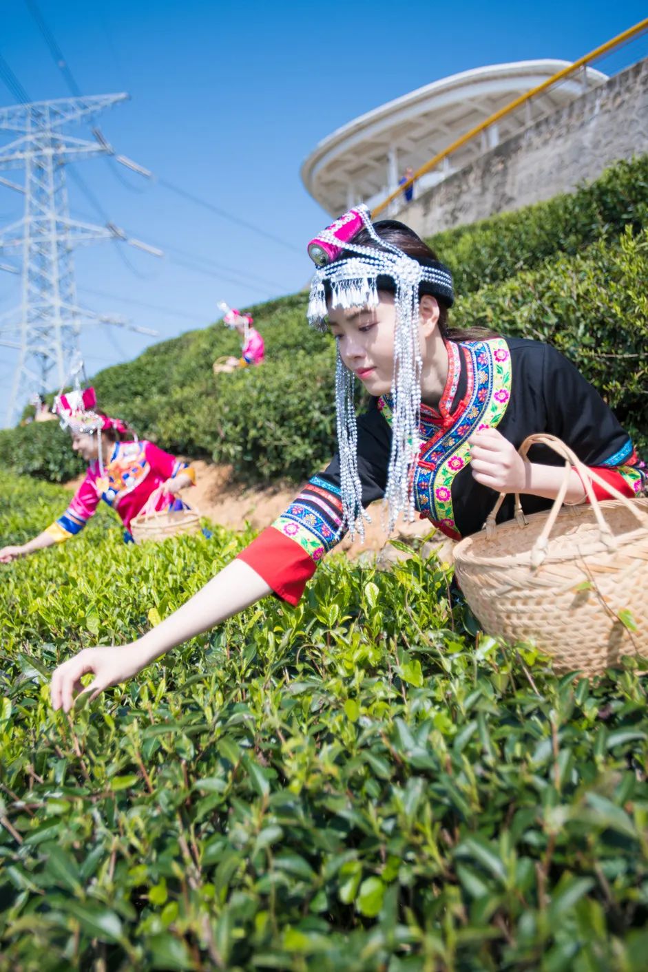一年之计在于春，辛勤耕耘正当时！
