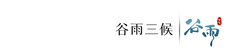 寄语洛城风日道(今日，谷雨)