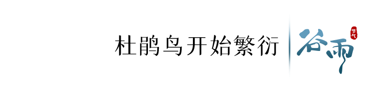 寄语洛城风日道(今日，谷雨)