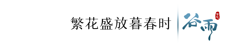 寄语洛城风日道(今日，谷雨)