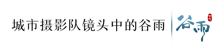 寄语洛城风日道(今日，谷雨)