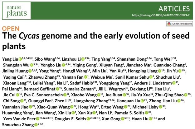 ���ڷ��֣�&ldquo;����������&rdquo;Ҳ�ܱ����