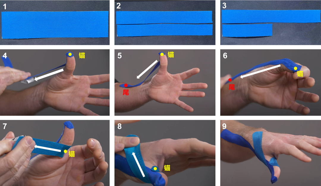肌内效贴布肩膀贴法图(健身战疫系列——科学利用肌内效贴缓解战"疫"