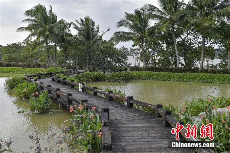 看海的风景、品海的故事……人这一辈子，一定要去一趟博鳌