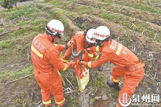 天气逐渐转暖(天气转暖 小心蛇出没“蛇扰民”警情21天33起)