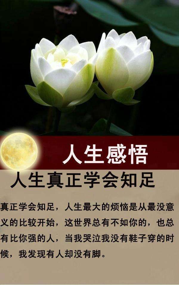 甜蜜相伴唯美句子