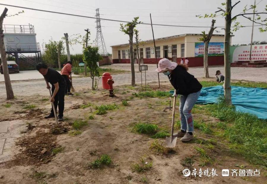 东昌府区黄庄小学进行校园大扫除!以劳育美(图1)