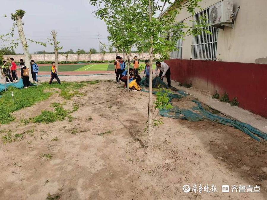 东昌府区黄庄小学进行校园大扫除!以劳育美(图2)