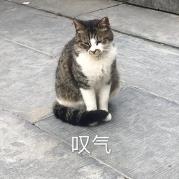 2022新华网高考情报局“招招”精彩 随各高校招办主任云探校