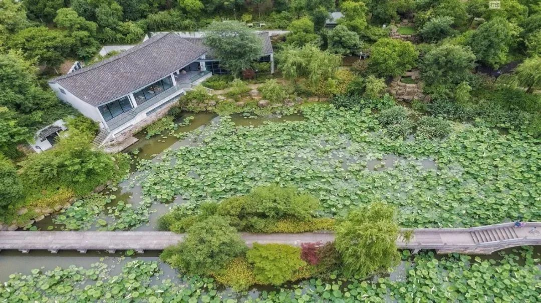 这几处茶室，值得一去