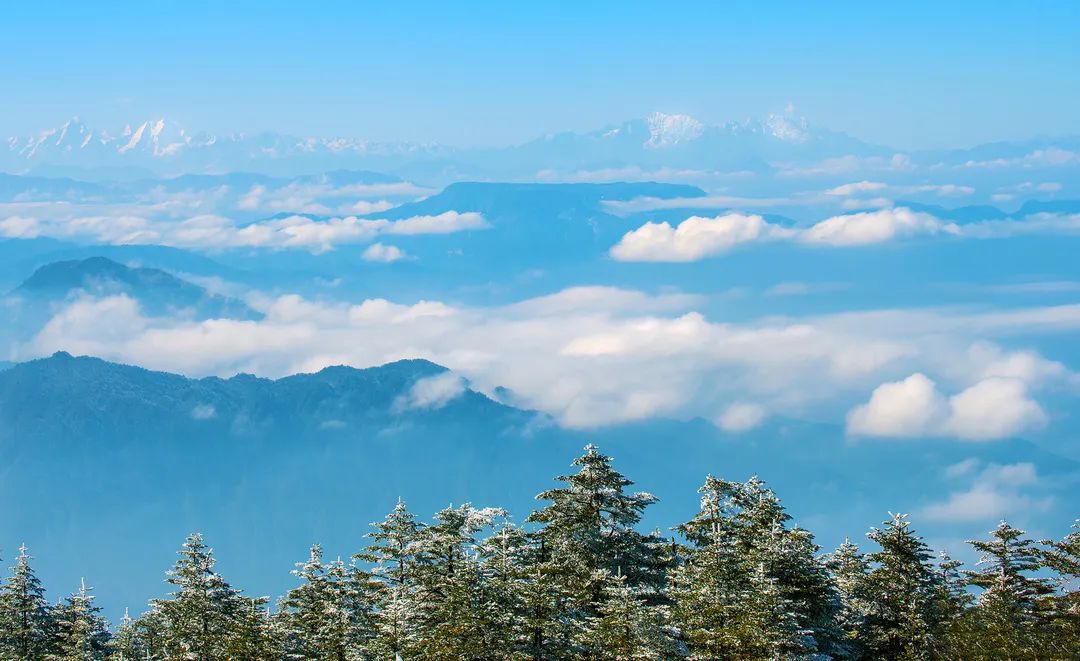 快来抓住瓦屋山春天的尾巴吧~