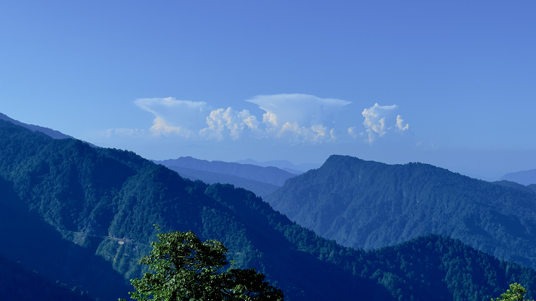 快来抓住瓦屋山春天的尾巴吧~