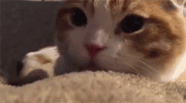 @3415位同学，你们呼唤的证书开始发放啦！