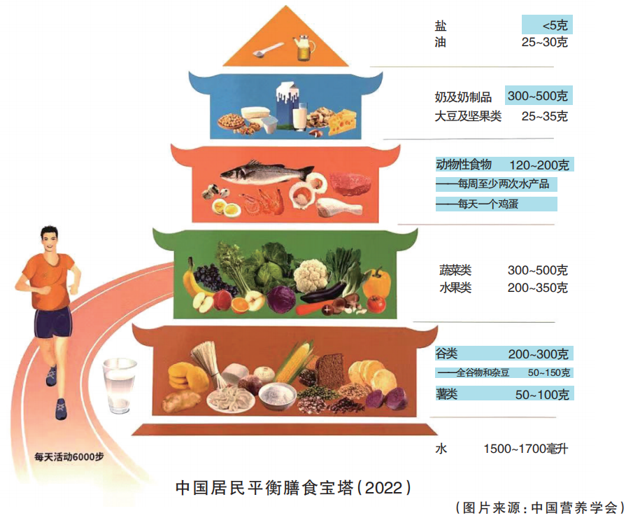 营养金字塔图片（提出平衡膳食8准则快来学习）