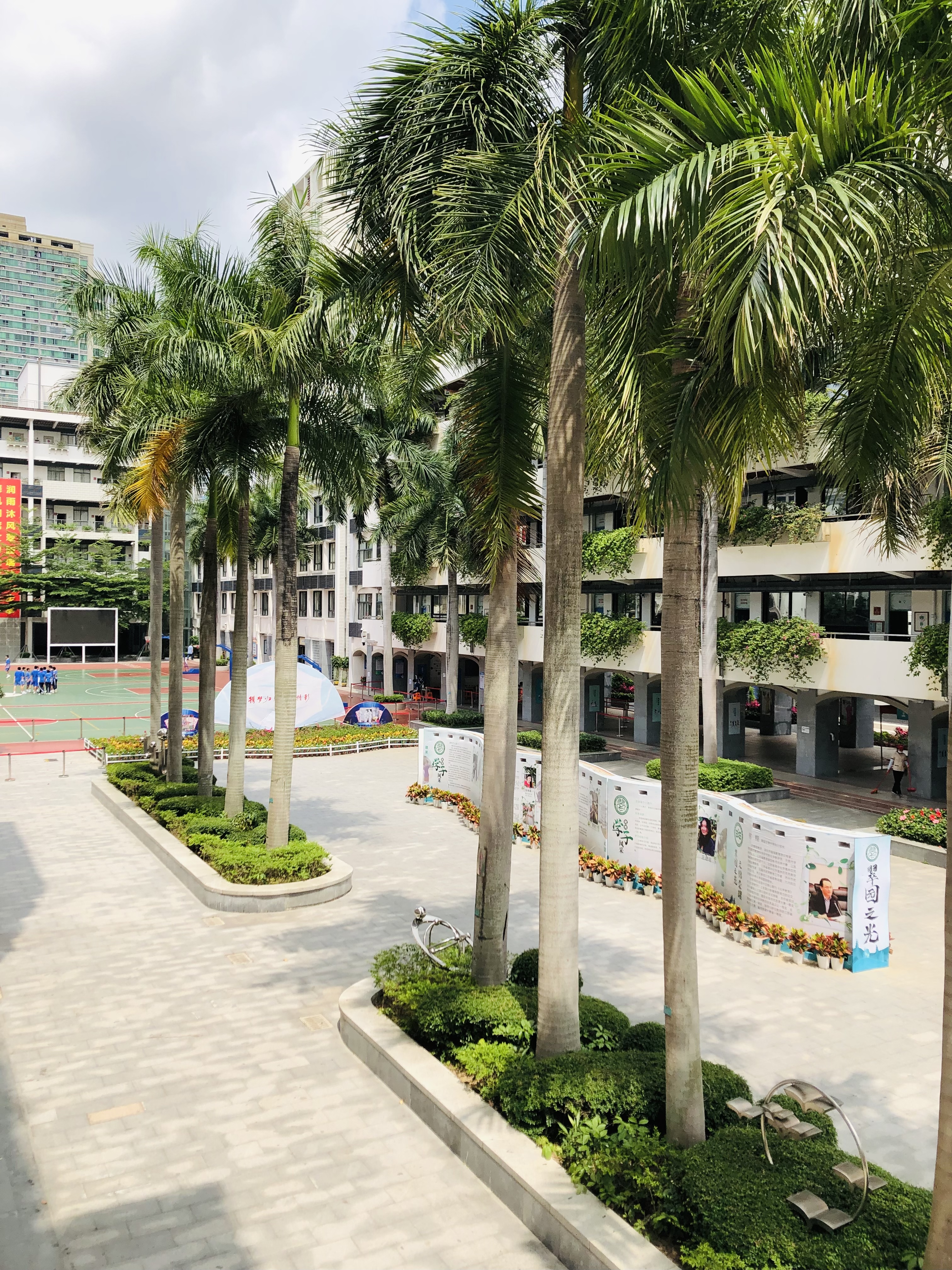 深圳市翠園文錦中學(xué)：以教科研為抓手(圖6)