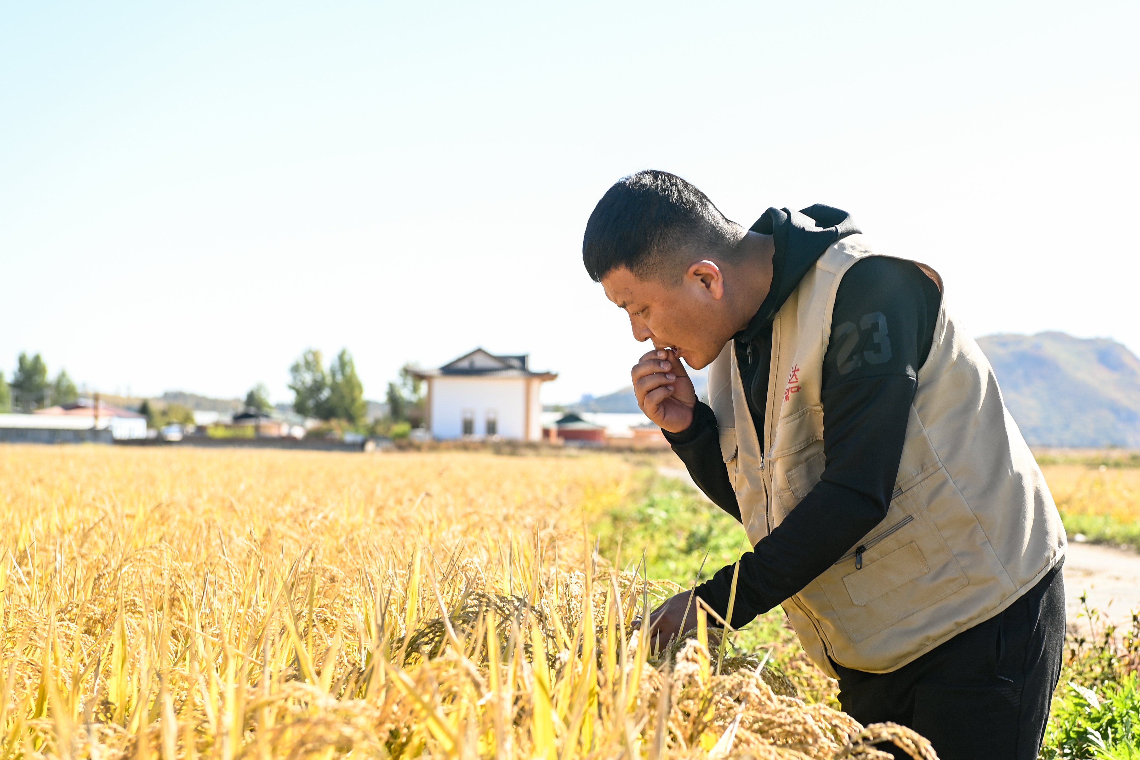 总书记和人民心贴心 |“总书记这句话打开了我的思路”