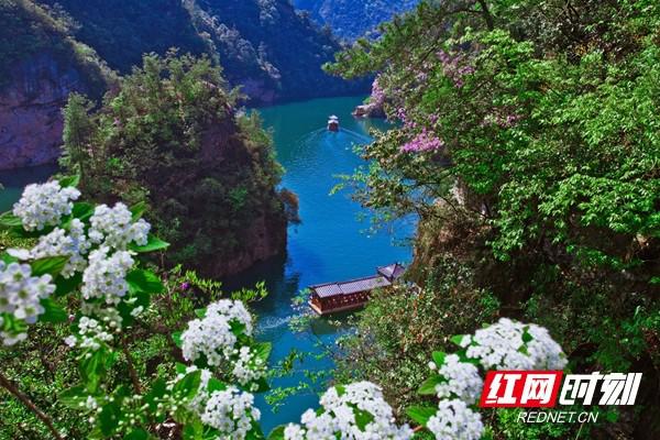 这么近·那么美丨“五一”张家界四大景区免票，怎么玩？攻略来了