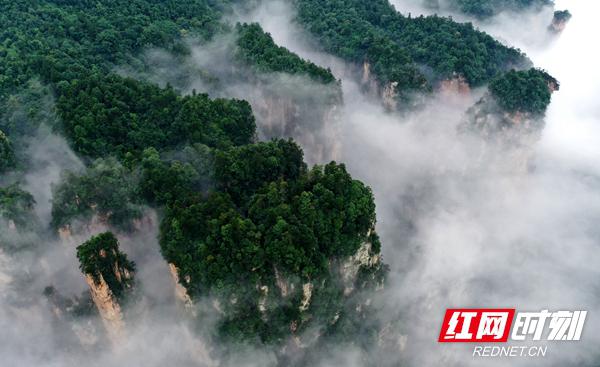 这么近·那么美丨“五一”张家界四大景区免票，怎么玩？攻略来了