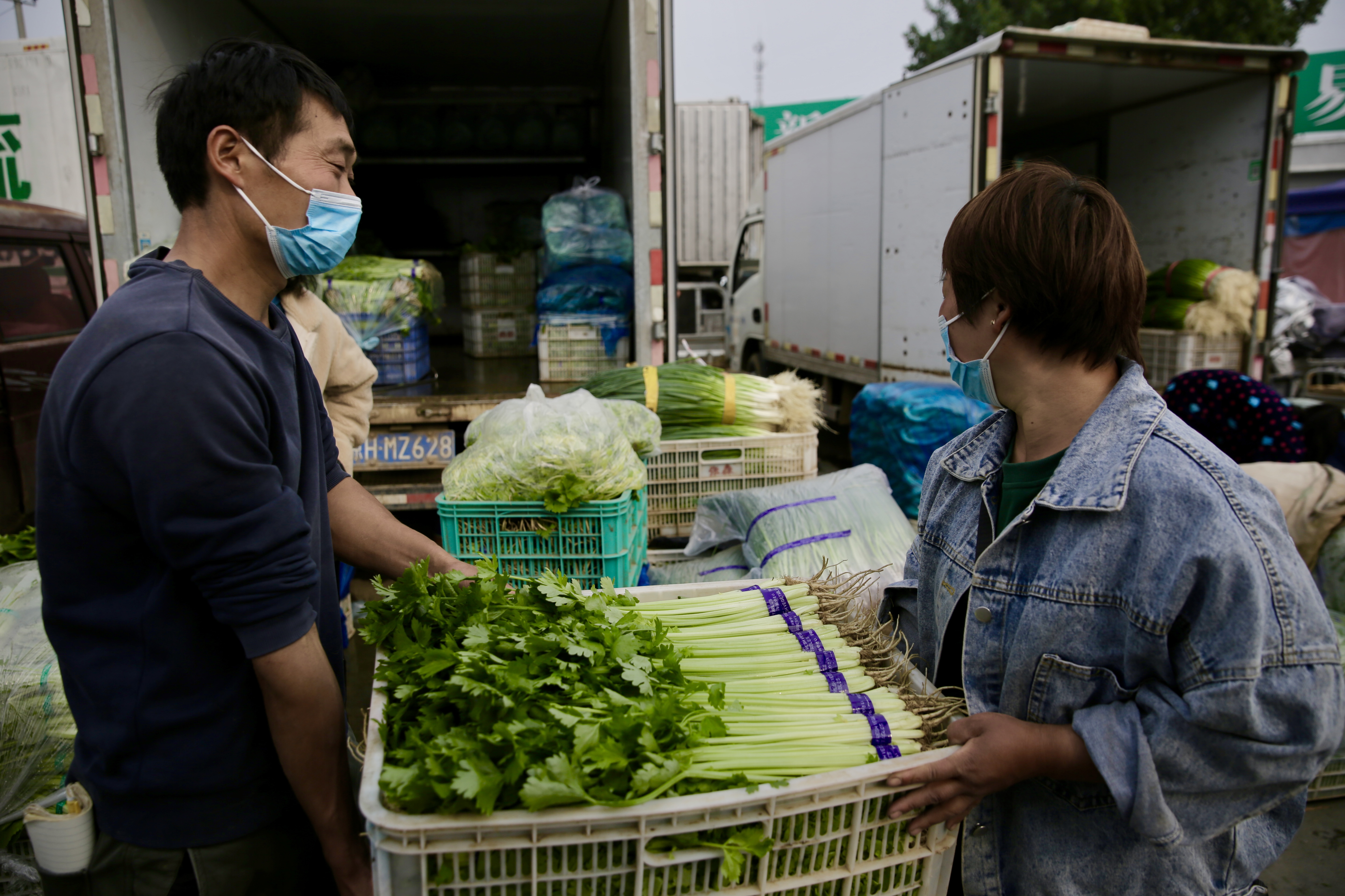 今日北京市蔬菜价格，北京市今日蔬菜价格表