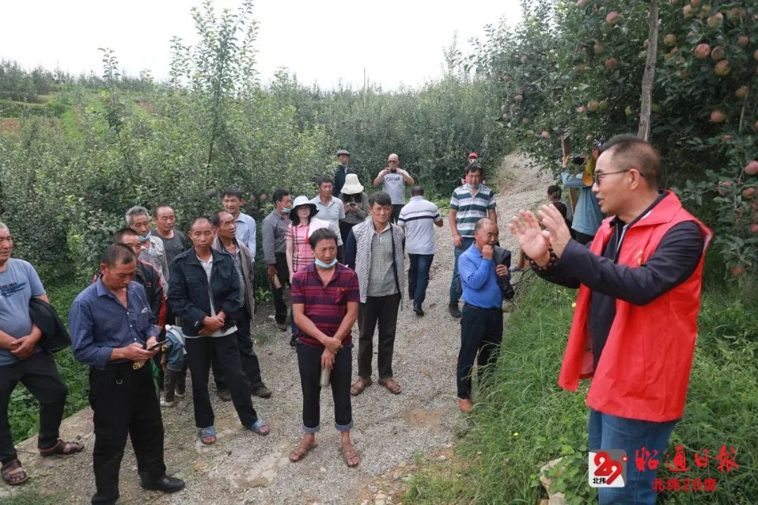 书写乡村振兴的“银发篇章”——记昭通市银耀乌蒙志愿服务协会副会长李荣贵