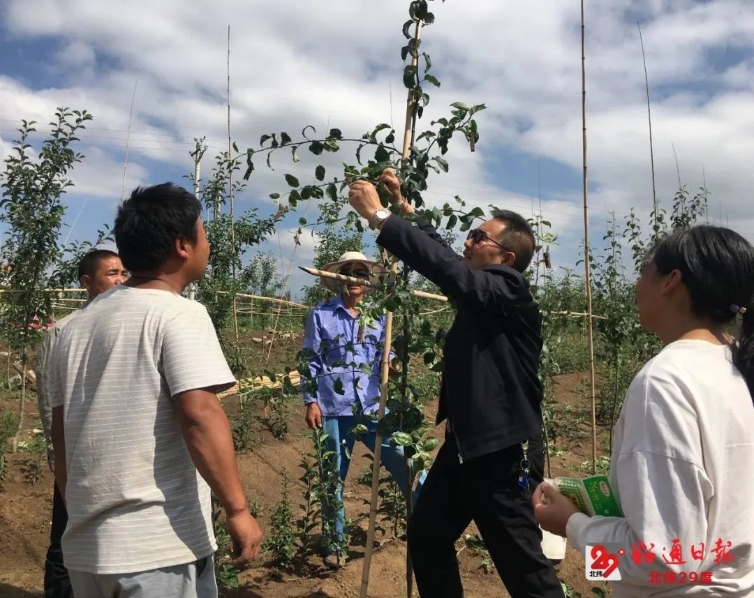 书写乡村振兴的“银发篇章”——记昭通市银耀乌蒙志愿服务协会副会长李荣贵