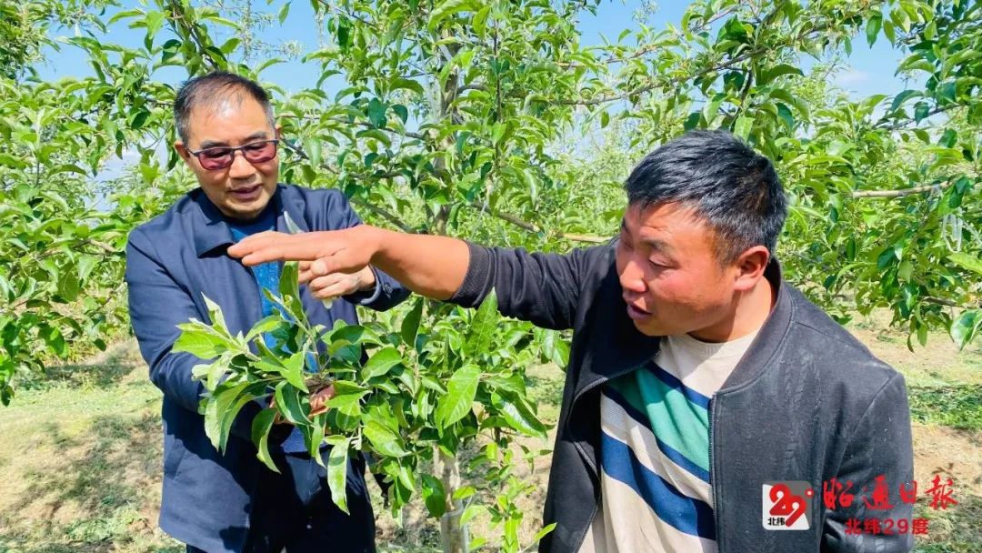 书写乡村振兴的“银发篇章”——记昭通市银耀乌蒙志愿服务协会副会长李荣贵