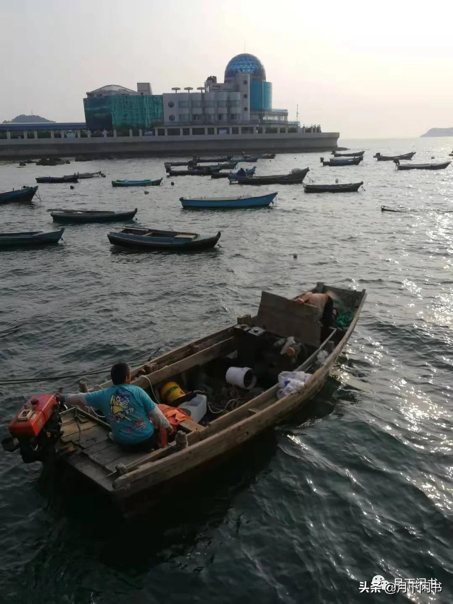 青未了｜高三陪读日记——放大周，放松还是折磨？