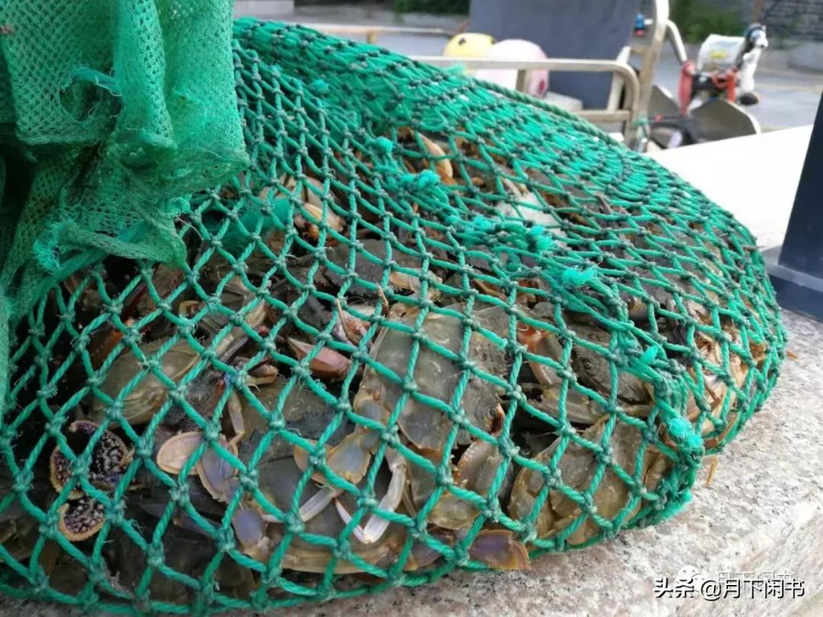 青未了｜高三陪读日记——放大周，放松还是折磨？