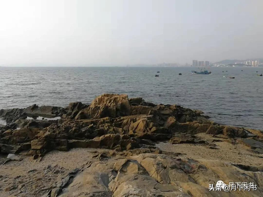 青未了｜高三陪读日记——放大周，放松还是折磨？