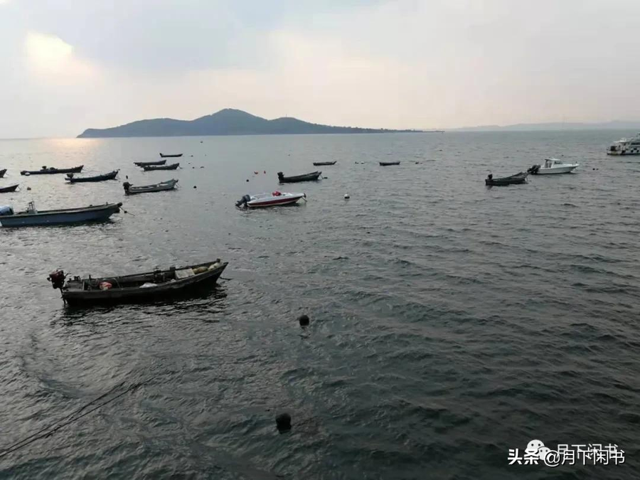 青未了｜高三陪读日记——放大周，放松还是折磨？