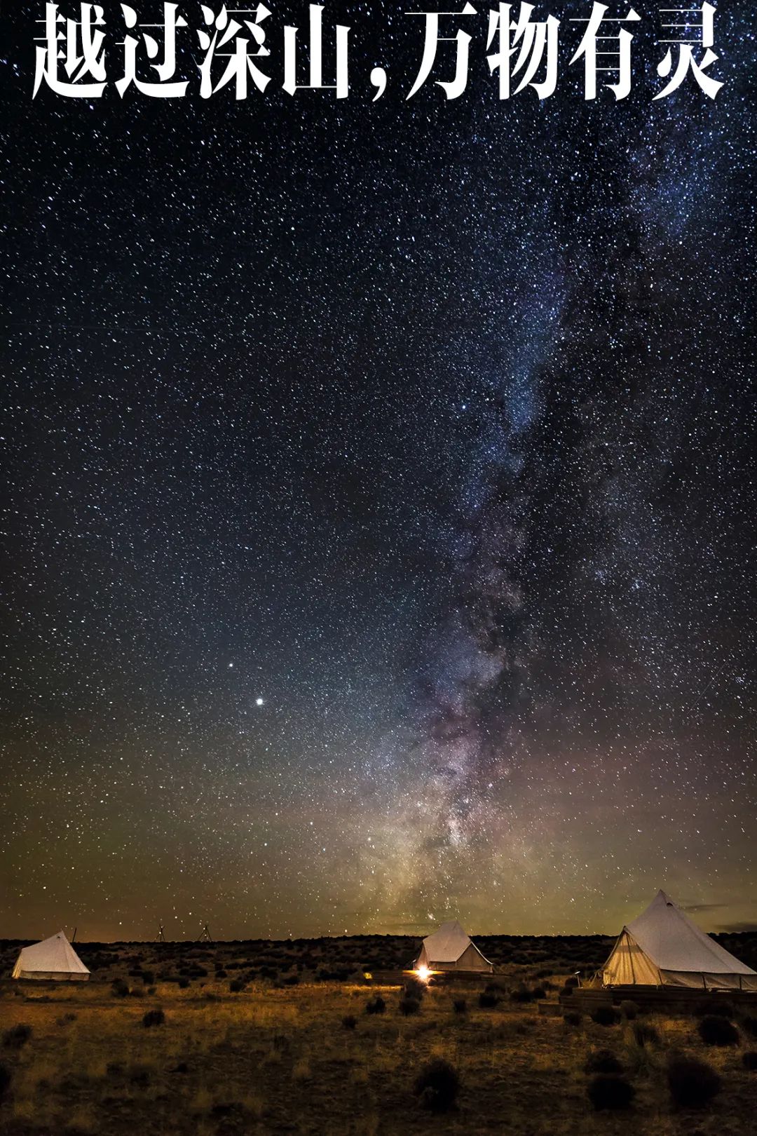 在美国观星最密集的“暗天四角地”，与星辰独处