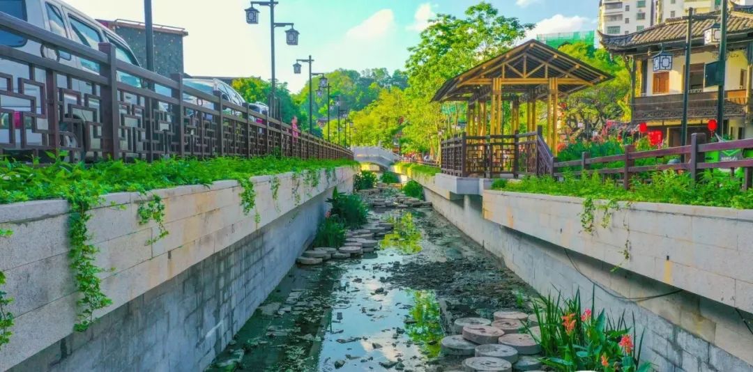 深圳哪里每天有篮球比赛(碧道→运动场馆→灯光秀，假期的一天这样安排！)